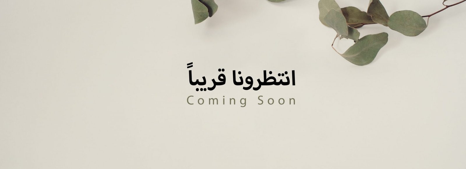 coming soon coming soon